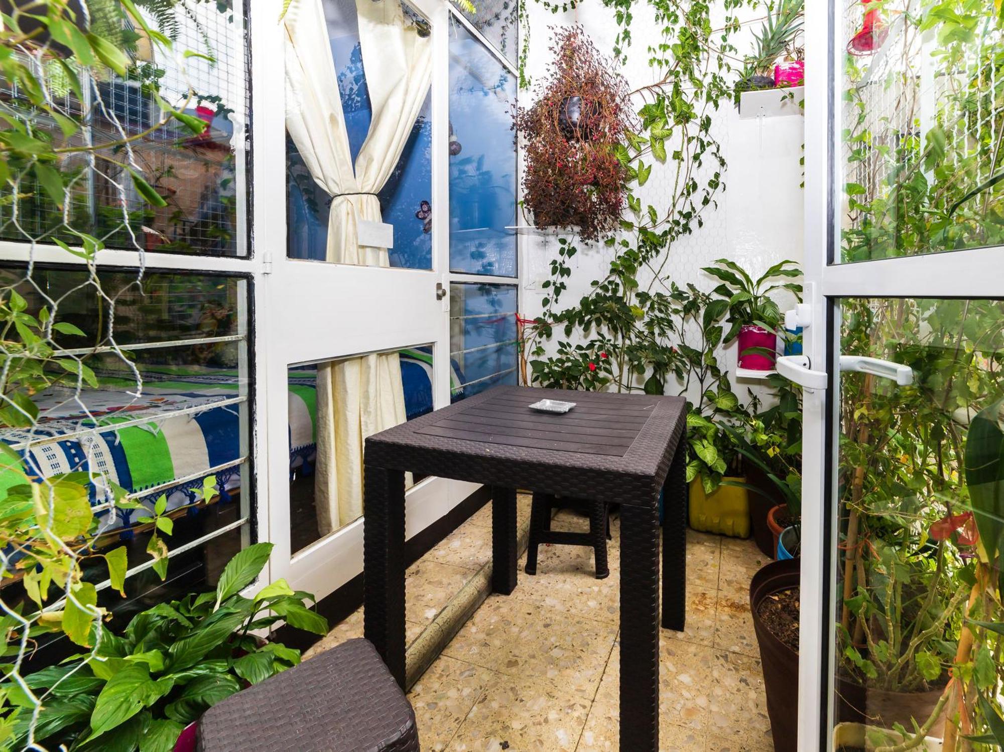 Casa Itzae B&B Polanquito Dog Friendly Mexico City Exterior photo