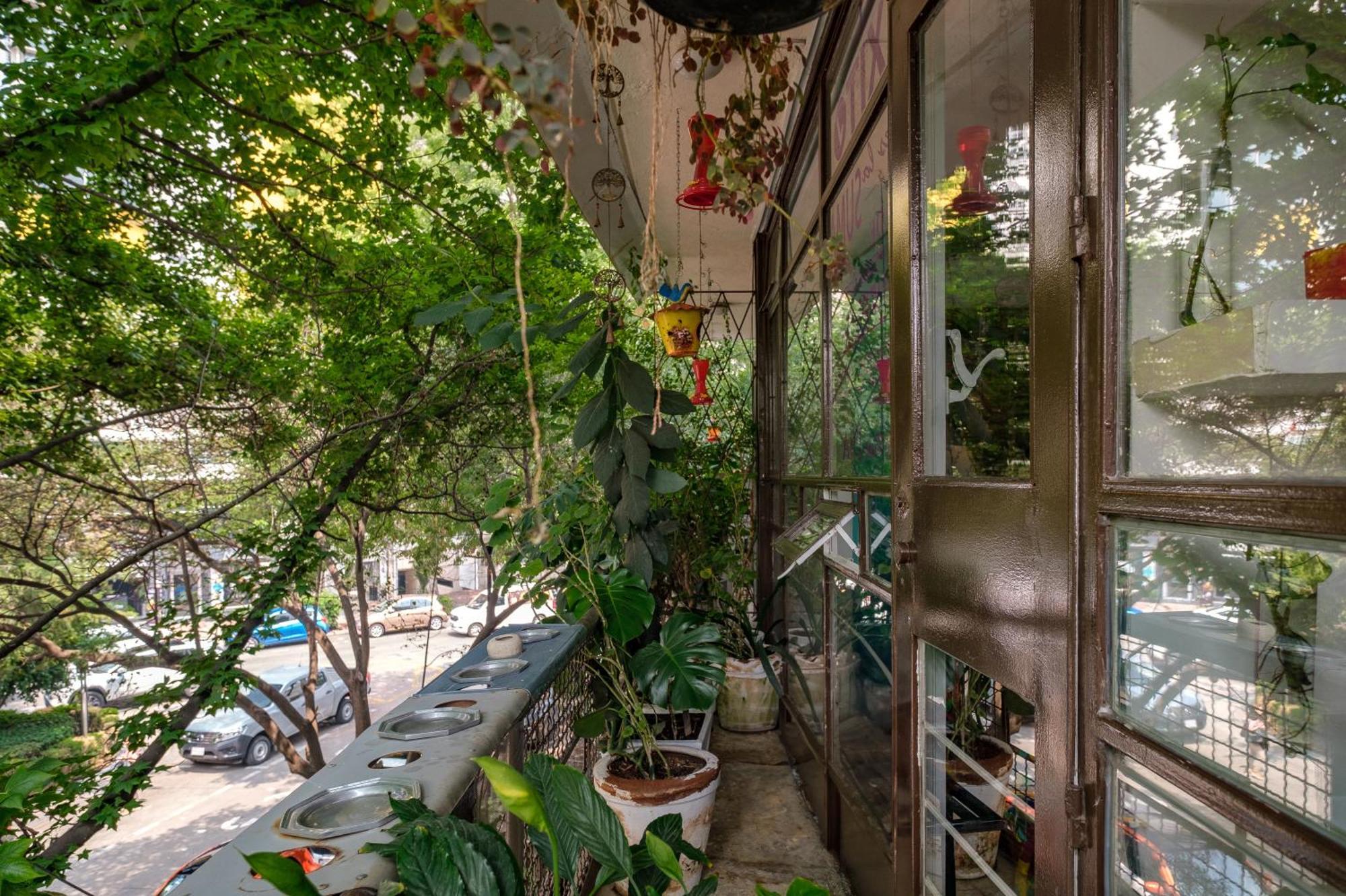 Casa Itzae B&B Polanquito Dog Friendly Mexico City Exterior photo