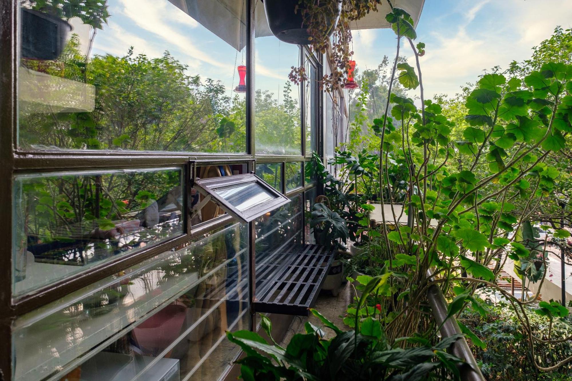 Casa Itzae B&B Polanquito Dog Friendly Mexico City Exterior photo